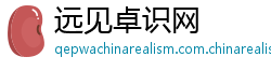远见卓识网